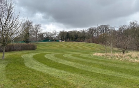 Commercial grounds maintenance