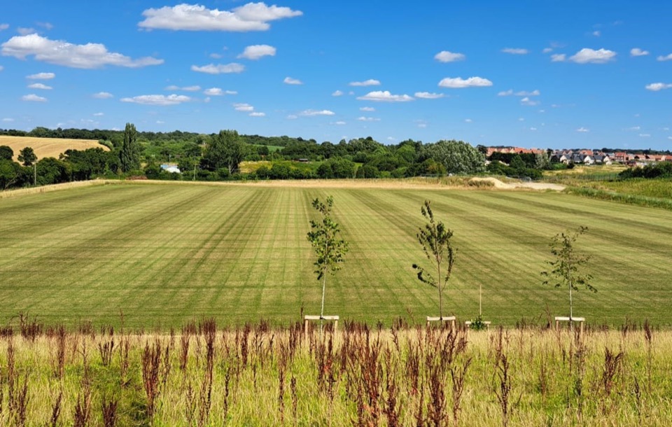 Grounds maintenance work on a commercial site