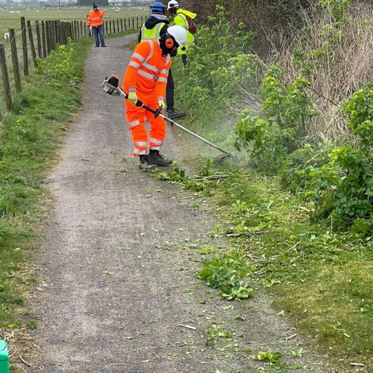 Verge and roadside cutting